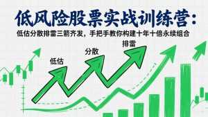 低风险股票实战训练营：低估分散排雷三箭齐发，手把手教你构建十年十倍永续组合-泱泱学习社