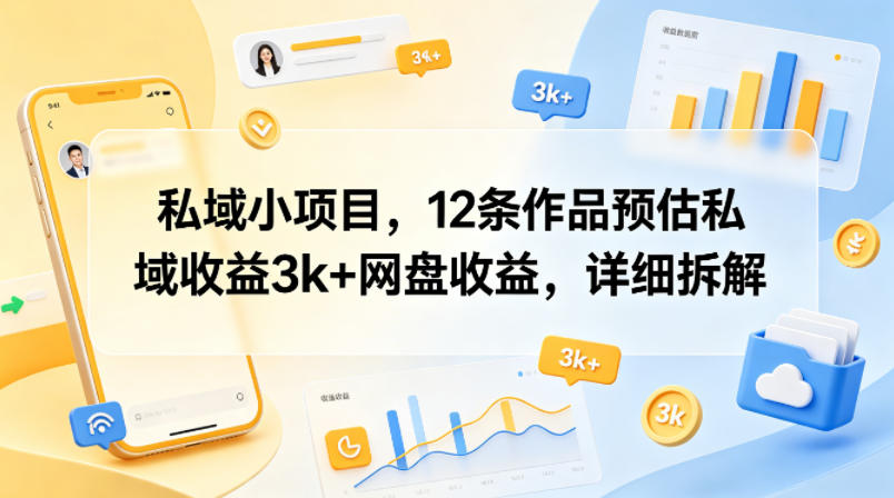 私域小项目，12条作品预估私域收益3k+网盘收益，详细拆解-泱泱学习社