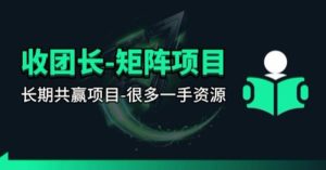 【团长合作】视频矩阵项目_招发手矩阵+剪辑师，共赢项目【揭秘】-泱泱学习社