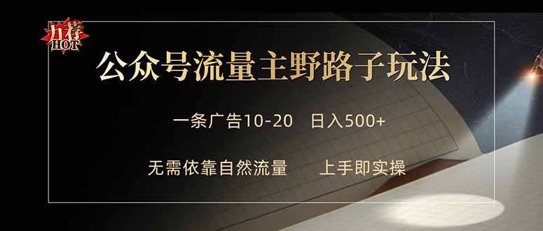 公众号流量主野路子玩法 单条广告10-20元 日入500+-泱泱学习社