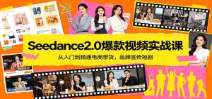 Seedance2.0爆款视频实战课：从入门到精通电商带货，品牌宣传短剧-泱泱学习社