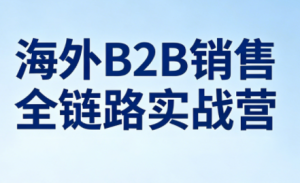 雨哥·海外B2B销售全链路实战营-泱泱学习社
