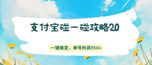 支付宝碰一碰攻略2.0，一键搞定，单号利润350+-泱泱学习社