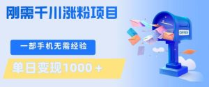 刚需千川涨粉项目，一部手机无需技术，单日变现1k+，当天做当天见收益【揭秘】-泱泱学习社