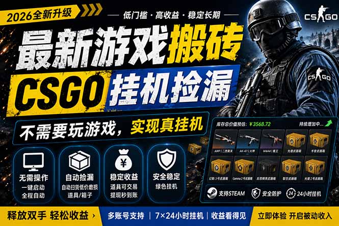 最新游戏搬砖，CSGO纯挂机，不需要玩游戏，实现真挂机，月入1W+，五一小高峰上车可吃肉，…-泱泱学习社