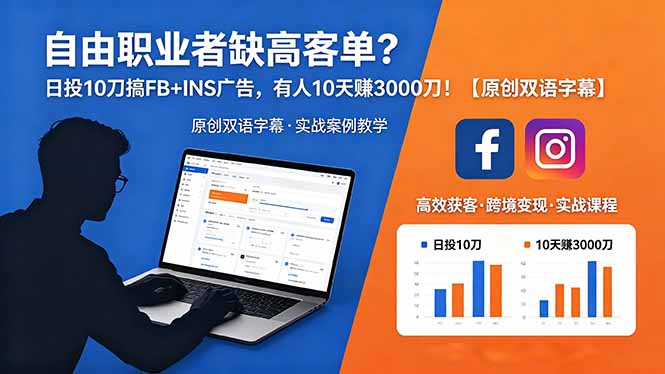 自由职业者缺高客单？日投 10 刀搞 FB+INS 广告，有人 10 天赚 3000 刀！【原创双语字幕】-泱泱学习社
