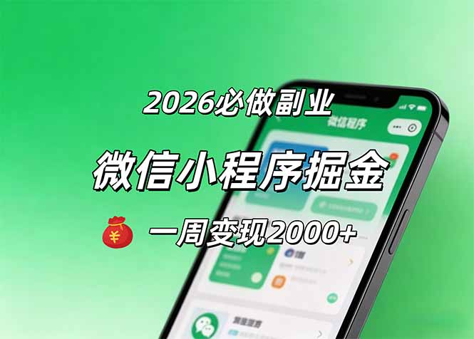 2026微信小程序掘金，简单好上手，一周变现2000+-泱泱学习社