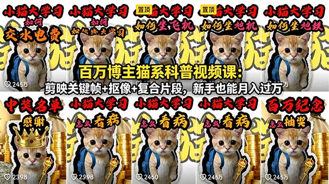 百万博主猫系科普视频课:剪映关键帧+抠像+复合片段,新手也能月入过万-泱泱学习社