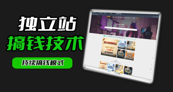 干货来袭！麦子甜带你吃透独立站｜从搭建到引流一站式教学《独立站》第一期-泱泱学习社
