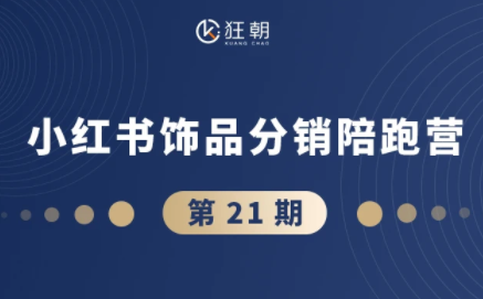 盗坤·抖音小红书视频号短视频带货与直播变现(11-21期)【更新】-泱泱学习社