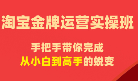 飓风电商·淘宝金牌运营实操班-泱泱学习社