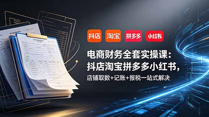 电商财务全套实操课:抖店淘宝拼多多小红书,店铺取数+记账+报税一站式解决-泱泱学习社