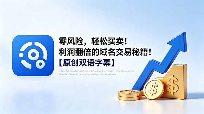 零风险,轻松买卖!利润翻倍的域名交易秘籍!【原创双语字幕】-泱泱学习社
