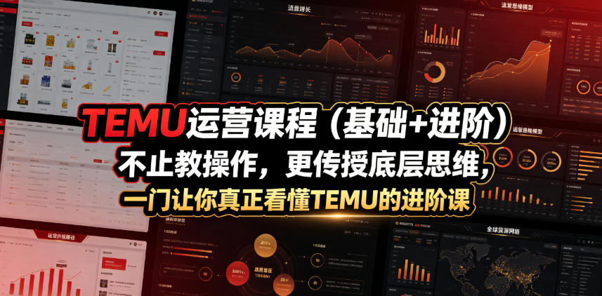 TEMU运营课程(基础+进阶)，不止教操作，更传授底层思维，一门让你真正看懂TEMU的进阶课-泱泱学习社