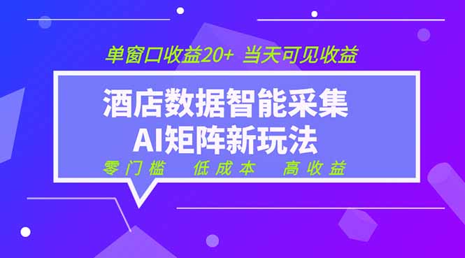 2026酒店数据采集ai智能矩阵新风口  低成本   高收益   当天见收益   单窗口20+-泱泱学习社