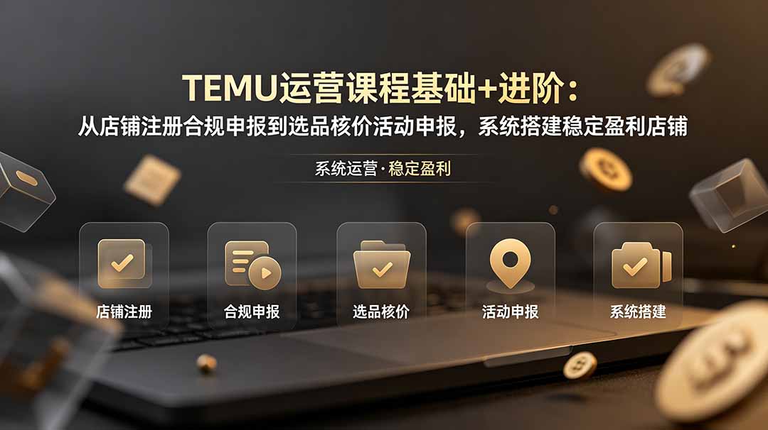 TEMU运营课程(基础+进阶-泱泱学习社