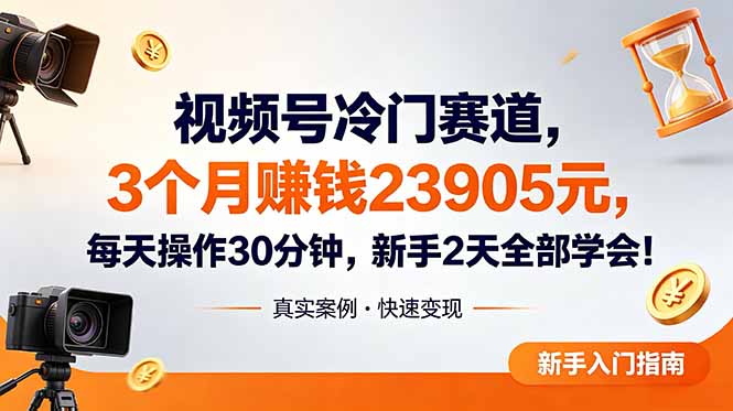 视频号冷门赛道，3个月变现23905元，新手2天学会 每天操作30分钟！-泱泱学习社