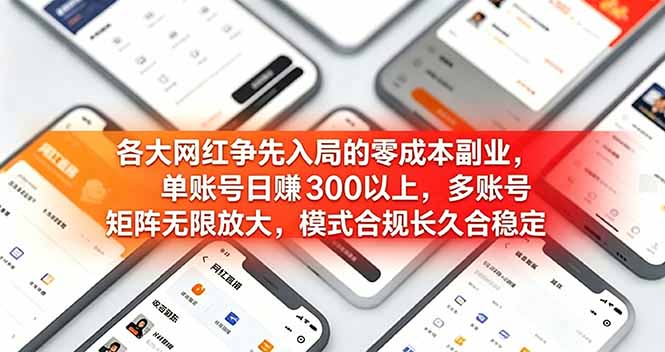 各大网红争先入局的零成本副业，单账号日赚 300 以上，多号矩阵可放大，模式合规长久稳定！-泱泱学习社