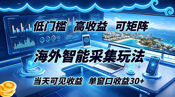 海外智能采集玩法，低门槛高单价可矩阵，当天可见收益，单窗口30+-泱泱学习社