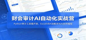 财会审计AI自动化实战营：Python审计工具箱开发，ExcelVBA加载项与AI协同编程-泱泱学习社