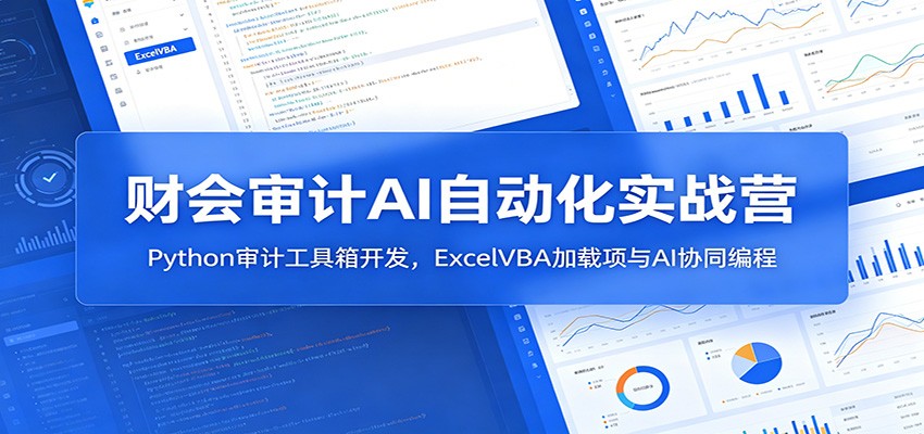财会审计AI自动化实战营：Python审计工具箱开发，ExcelVBA加载项与AI协同编程-泱泱学习社