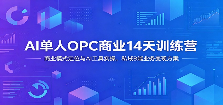 AI单人OPC商业14天训练营:商业模式定位与AI工具实操,私域B端业务变现方案-泱泱学习社