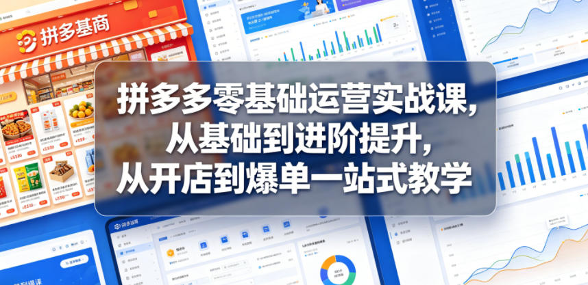 拼多多零基础运营实战课，从基础到进阶提升，从开店到爆单一站式教学-泱泱学习社