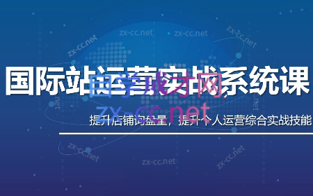 白老师·国际站运营实战系统(高质量询盘增长课)(更新)-泱泱学习社