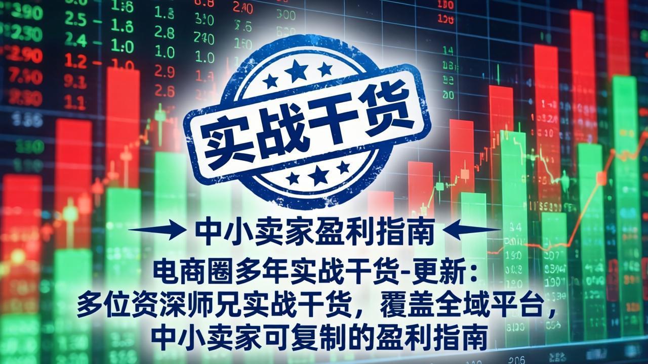 电商圈多年实战干货-更新2026:多位资深师兄实战干货/覆盖全域平台,中小卖家可复制的盈利指南-泱泱学习社