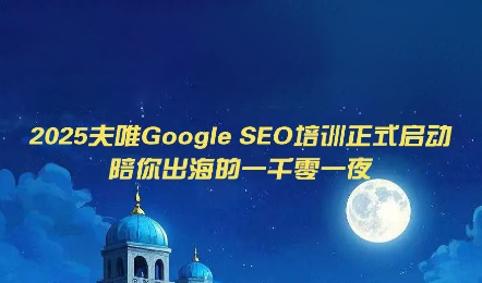 夫唯Google SEO培训课程(更新)-泱泱学习社