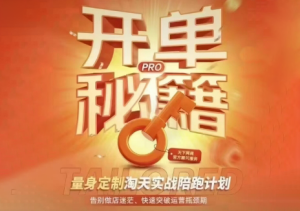 天下网商·淘宝天猫陪跑计划(更新7月)-泱泱学习社