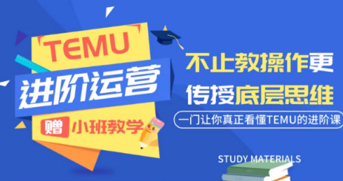 阿卡林·TEMU运营课程(基础+进阶)-泱泱学习社