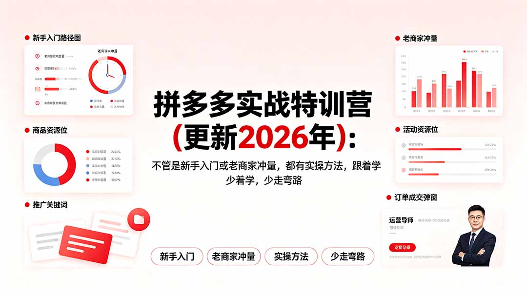 拼多多实战特训营(更新2026年-泱泱学习社