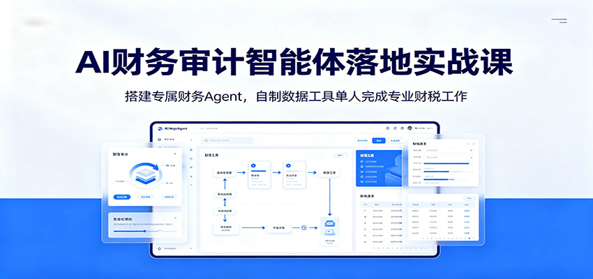 AI财务审计智能体落地实战课：搭建专属财务Agent，自制数据工具单人完成专业财税工作-泱泱学习社