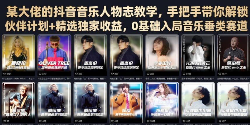 某大佬的抖音音乐人物志教学,手把手带你解锁伙伴计划+精选独家收益,0基础入局音乐垂类赛道-泱泱学习社