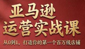 skyla·亚马逊运营实战课(更新8月)-泱泱学习社