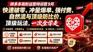 拼多多高阶运营特训营9月:快速破零、冲量爆单、强付费、自然流与顶级防比价, 顶级玩法,一次全学走-泱泱学习社