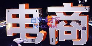 幕思城·淘宝培训VIP课程(更新8月)-泱泱学习社