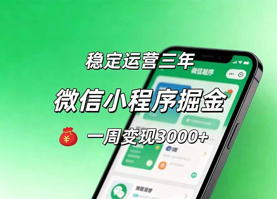 月收益稳定1W+的微信小程序，前期积累客户，后期躺平养老，小白轻松上手-泱泱学习社