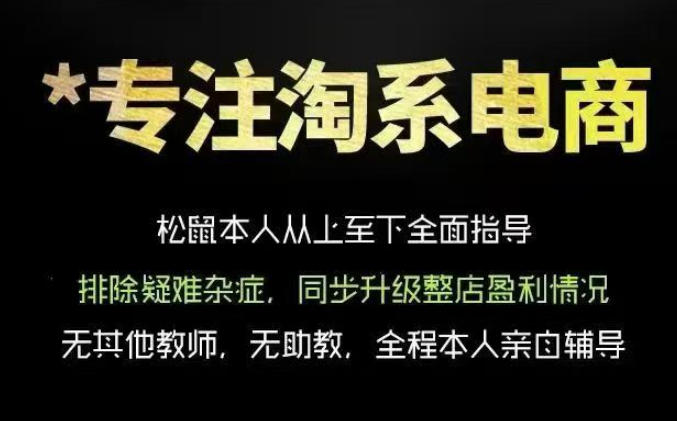 松鼠会电商VIP课程,从基础布局到高阶优化,助你掌握淘宝运营逻辑,提升店铺流量与转化(更新0823)-泱泱学习社
