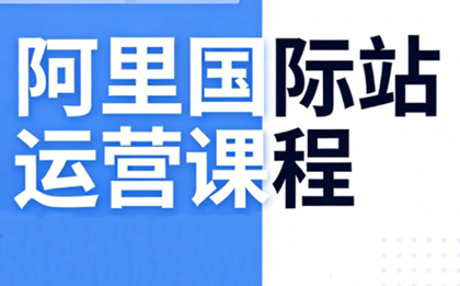 张国儒·阿里国际站运营课程(更新7月)-泱泱学习社