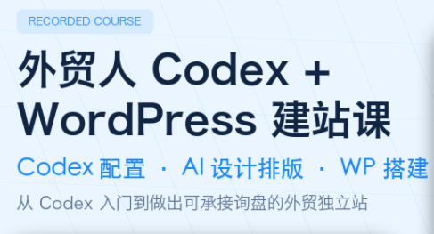 大卫·外贸人Codex + WordPress建站课(更新8月)-泱泱学习社