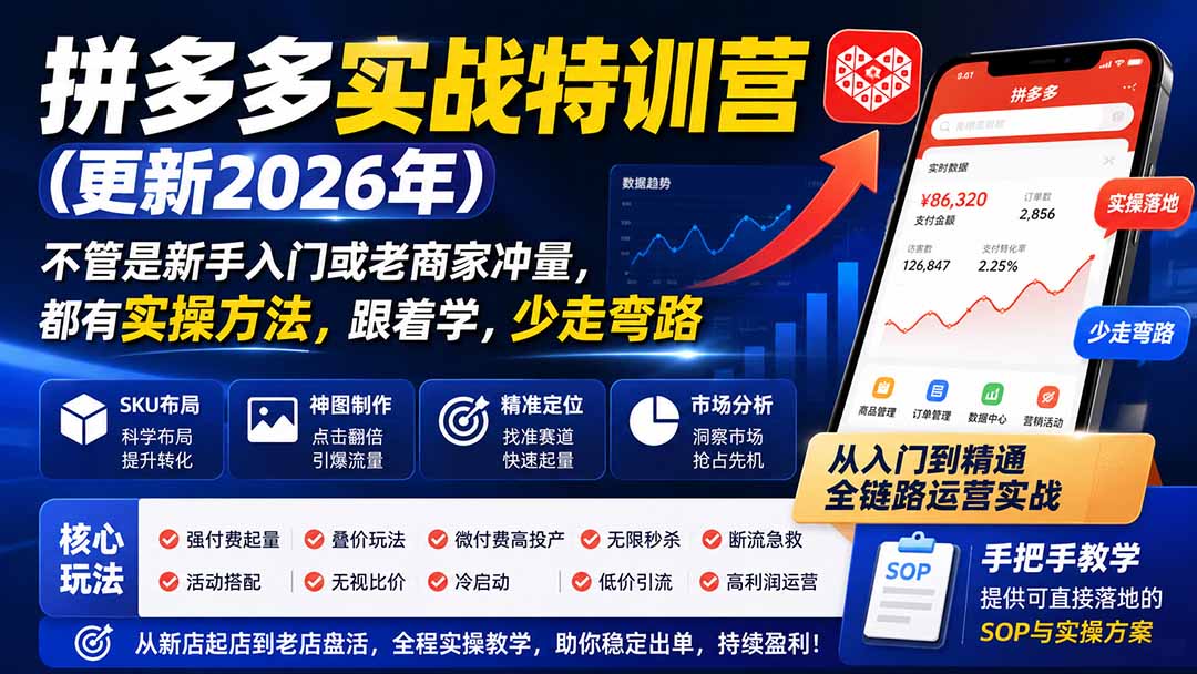 拼多多实战特训营(更新26年0822-泱泱学习社