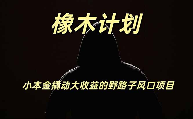 橡木计划，小投入撬动高回报的风口野路子项目，一天投入2小时左右-泱泱学习社