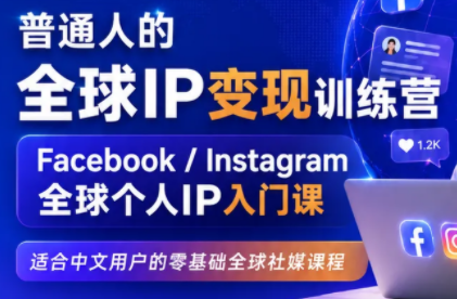 建立海外社媒底层逻辑，打造能变现的个人IP-泱泱学习社