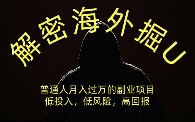解密海外掘U，普通人月入过万的副业项目，低投入、低风险高回报，没有之一-泱泱学习社