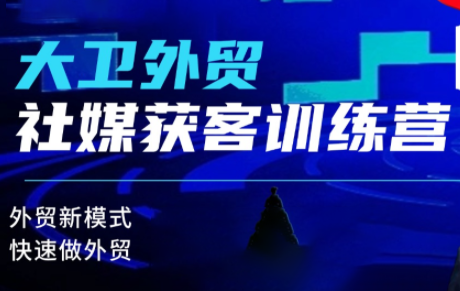 大卫老师·外贸社媒获客独家训练营(更新8月)-泱泱学习社