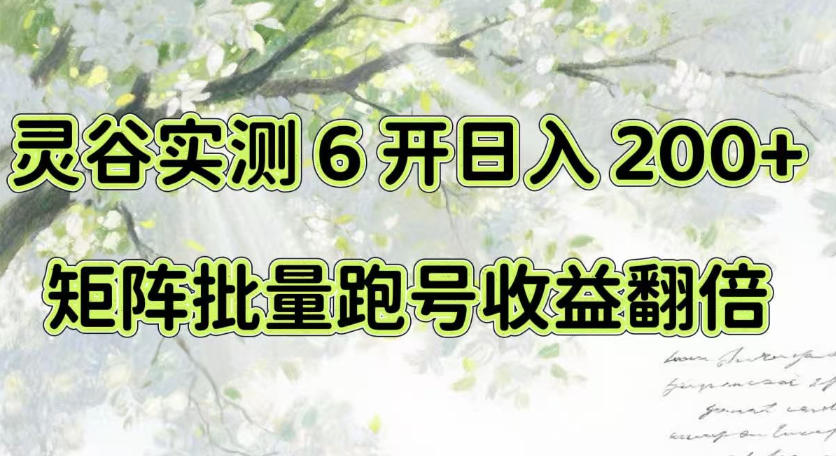 一台电脑就能做！灵谷实测6开日入200+，矩阵批量跑号收益翻倍【揭秘】-泱泱学习社