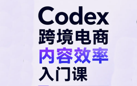 Codex跨境电商内容效率入门课-泱泱学习社