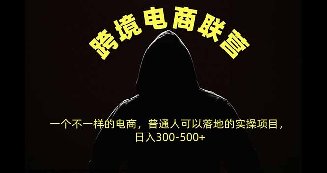 跨境电商联营,一个不一样的电商,普通人可操作日入300-500+-泱泱学习社